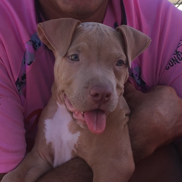 Meet your Posher, Ron - Picture 1 of 1